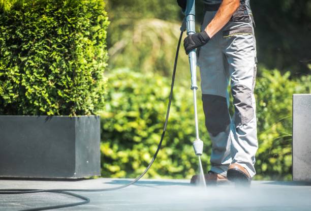 Best Sidewalk and Walkway Cleaning  in Northbrook, OH